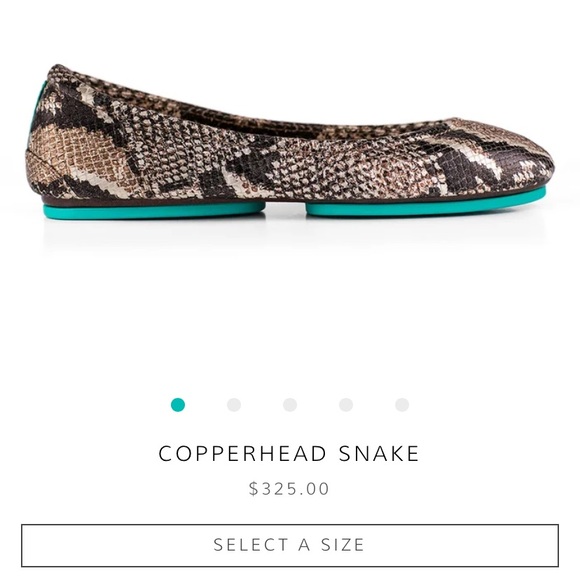 Tieks Snakeskin Ballet Flats size 8 good condition see pictures - Picture 3 of 5